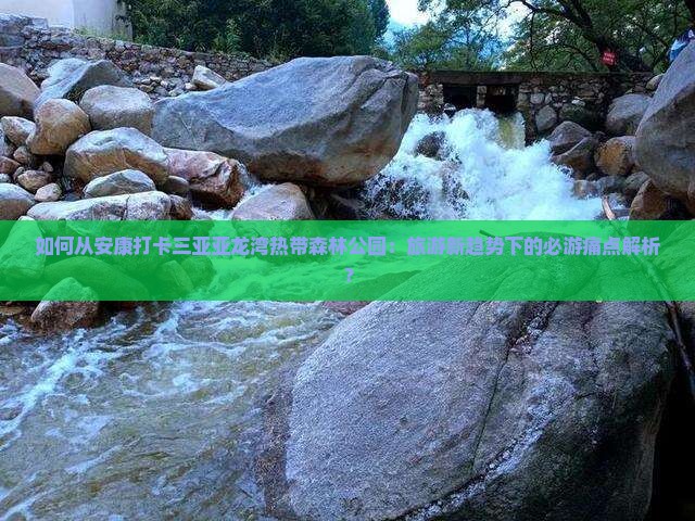 如何从安康打卡三亚亚龙湾热带森林公园：旅游新趋势下的必游痛点解析？