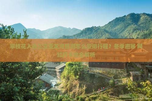 攀枝花人去三亚亚龙湾旅游怎么安排行程？冬季避寒+网红打卡地全解析