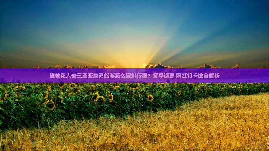攀枝花人去三亚亚龙湾旅游怎么安排行程？冬季避寒+网红打卡地全解析