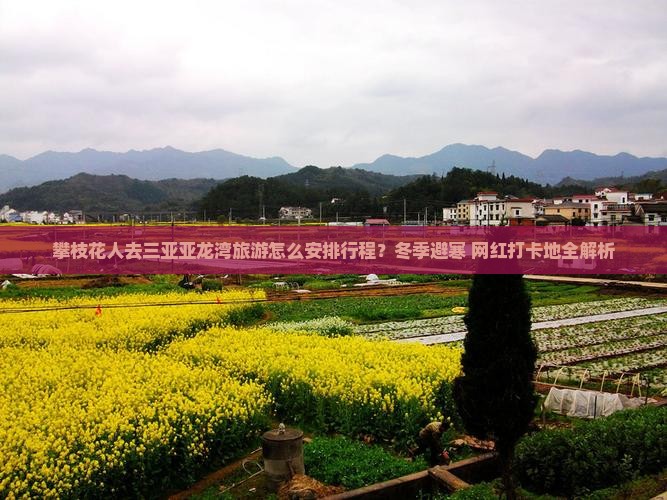 攀枝花人去三亚亚龙湾旅游怎么安排行程？冬季避寒+网红打卡地全解析
