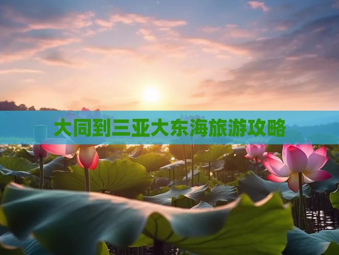 大同到三亚大东海旅游攻略