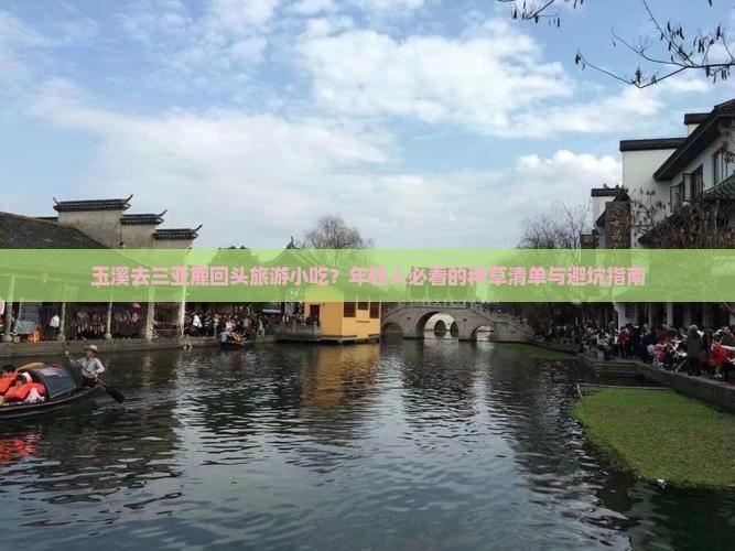 玉溪去三亚鹿回头旅游小吃？年轻人必看的种草清单与避坑指南