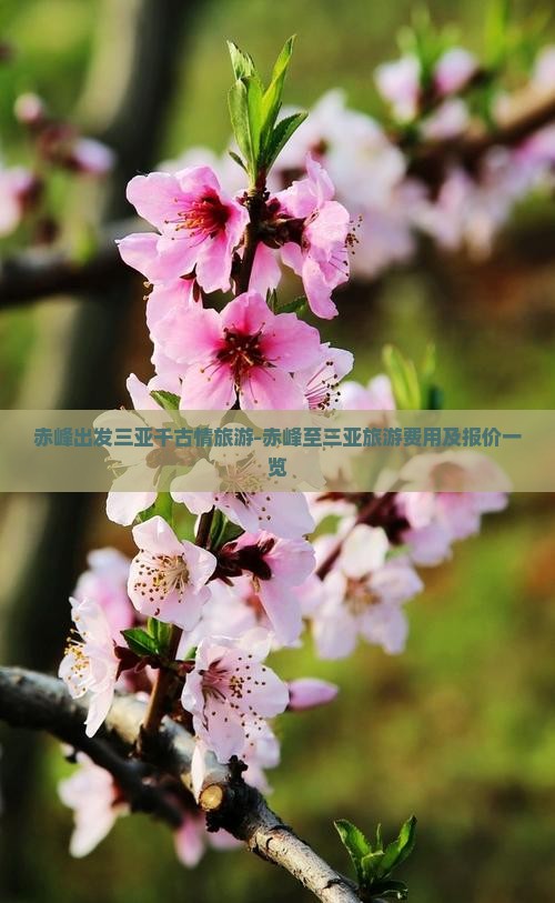 赤峰出发三亚千古情旅游-赤峰至三亚旅游费用及报价一览