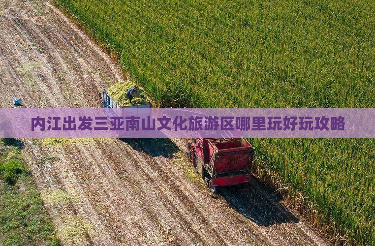 内江出发三亚南山文化旅游区哪里玩好玩攻略