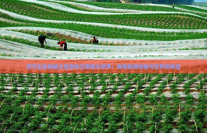 济宁出发探秘三亚亚特兰蒂斯水世界：海南旅游攻略与世界级体验
