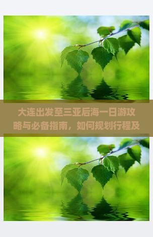 大连出发至三亚后海一日游攻略与必备指南，如何规划行程及注意事项？