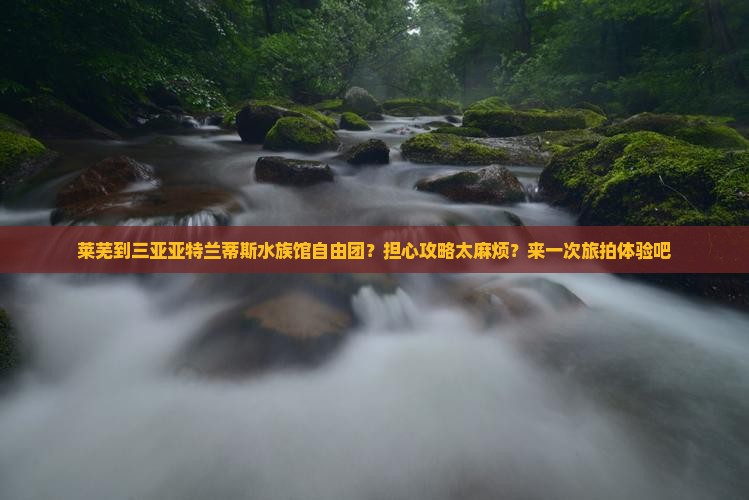 莱芜到三亚亚特兰蒂斯水族馆自由团？担心攻略太麻烦？来一次旅拍体验吧