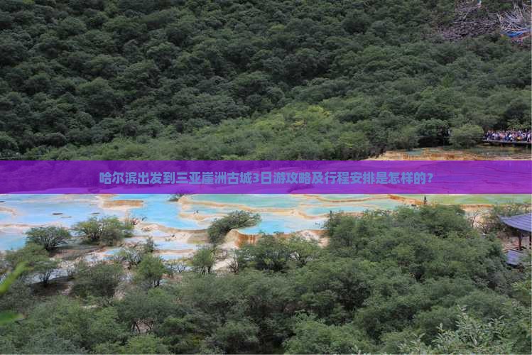 哈尔滨出发到三亚崖洲古城3日游攻略及行程安排是怎样的？