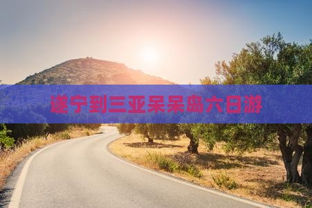 遂宁到三亚呆呆岛六日游