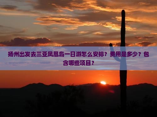 扬州出发去三亚凤凰岛一日游怎么安排？费用是多少？包含哪些项目？