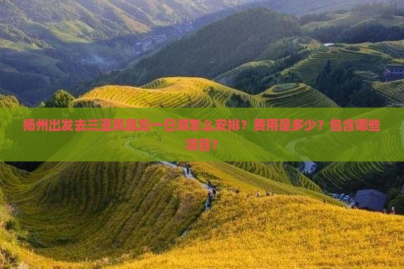 扬州出发去三亚凤凰岛一日游怎么安排？费用是多少？包含哪些项目？