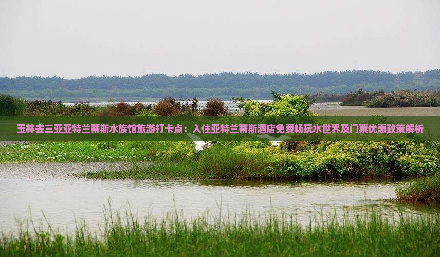 玉林去三亚亚特兰蒂斯水族馆旅游打卡点：入住亚特兰蒂斯酒店免费畅玩水世界及门票优惠政策解析