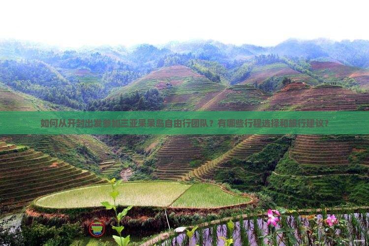 如何从开封出发参加三亚呆呆岛自由行团队？有哪些行程选择和旅行建议？