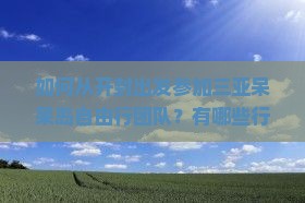 如何从开封出发参加三亚呆呆岛自由行团队？有哪些行程选择和旅行建议？