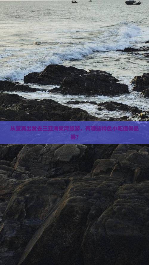 从宜宾出发去三亚海棠湾旅游，有哪些特色小吃值得品尝？