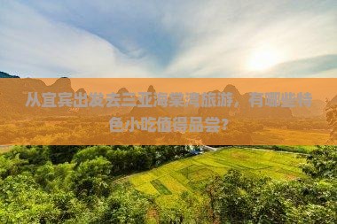 从宜宾出发去三亚海棠湾旅游，有哪些特色小吃值得品尝？