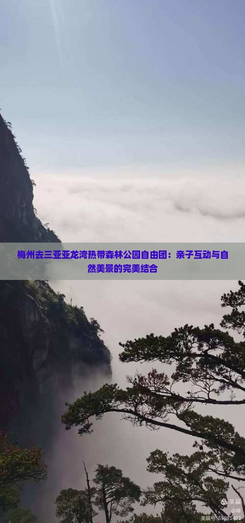 梅州去三亚亚龙湾热带森林公园自由团：亲子互动与自然美景的完美结合