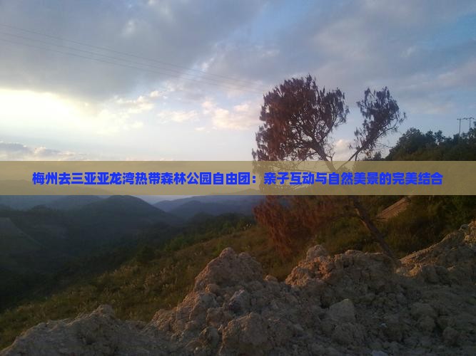 梅州去三亚亚龙湾热带森林公园自由团：亲子互动与自然美景的完美结合