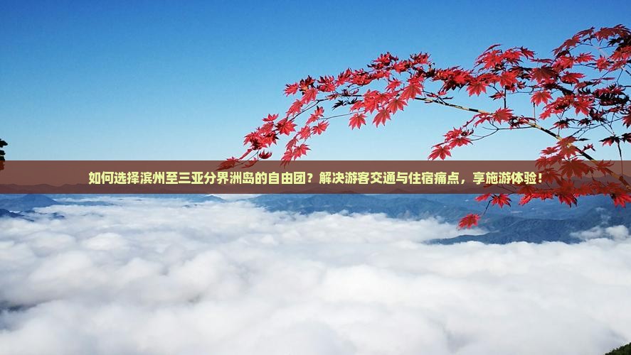 如何选择滨州至三亚分界洲岛的自由团？解决游客交通与住宿痛点，享施游体验！