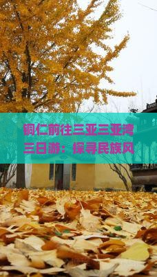 铜仁前往三亚三亚湾三日游：探寻民族风情与热带海岸之美
