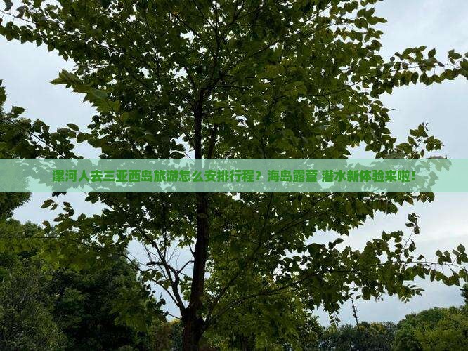 漯河人去三亚西岛旅游怎么安排行程？海岛露营+潜水新体验来啦！