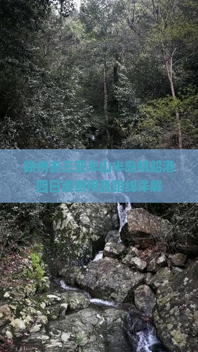 徐州去三亚半山半岛帆船港四日游费用及路线详解