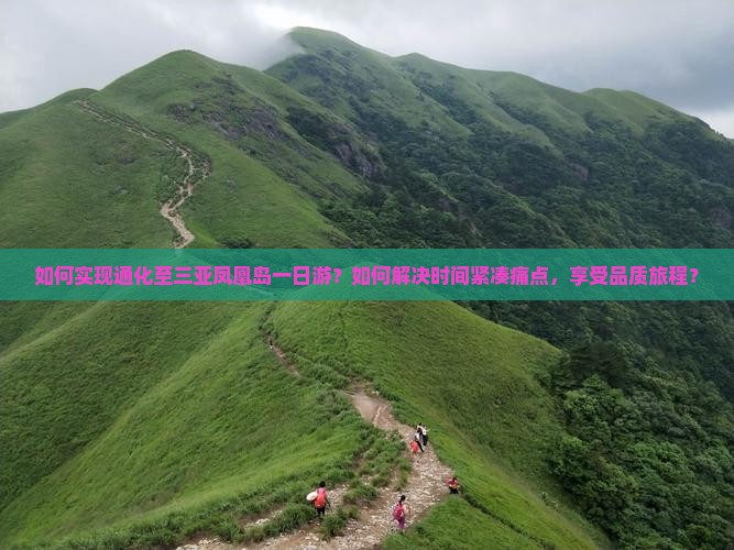 如何实现通化至三亚凤凰岛一日游？如何解决时间紧凑痛点，享受品质旅程？