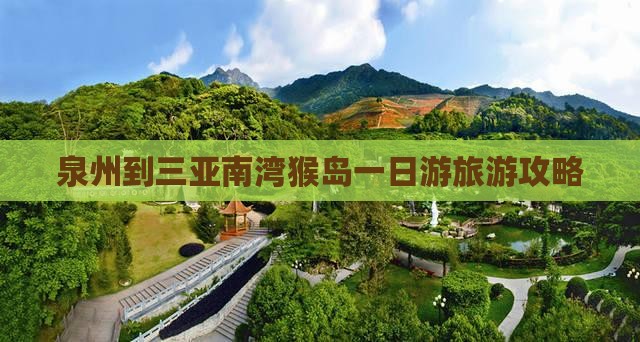 泉州到三亚南湾猴岛一日游旅游攻略