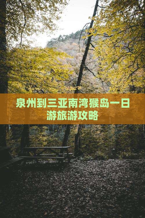 泉州到三亚南湾猴岛一日游旅游攻略