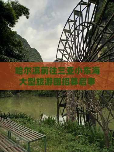 哈尔滨前往三亚小东海大型旅游团招募启事