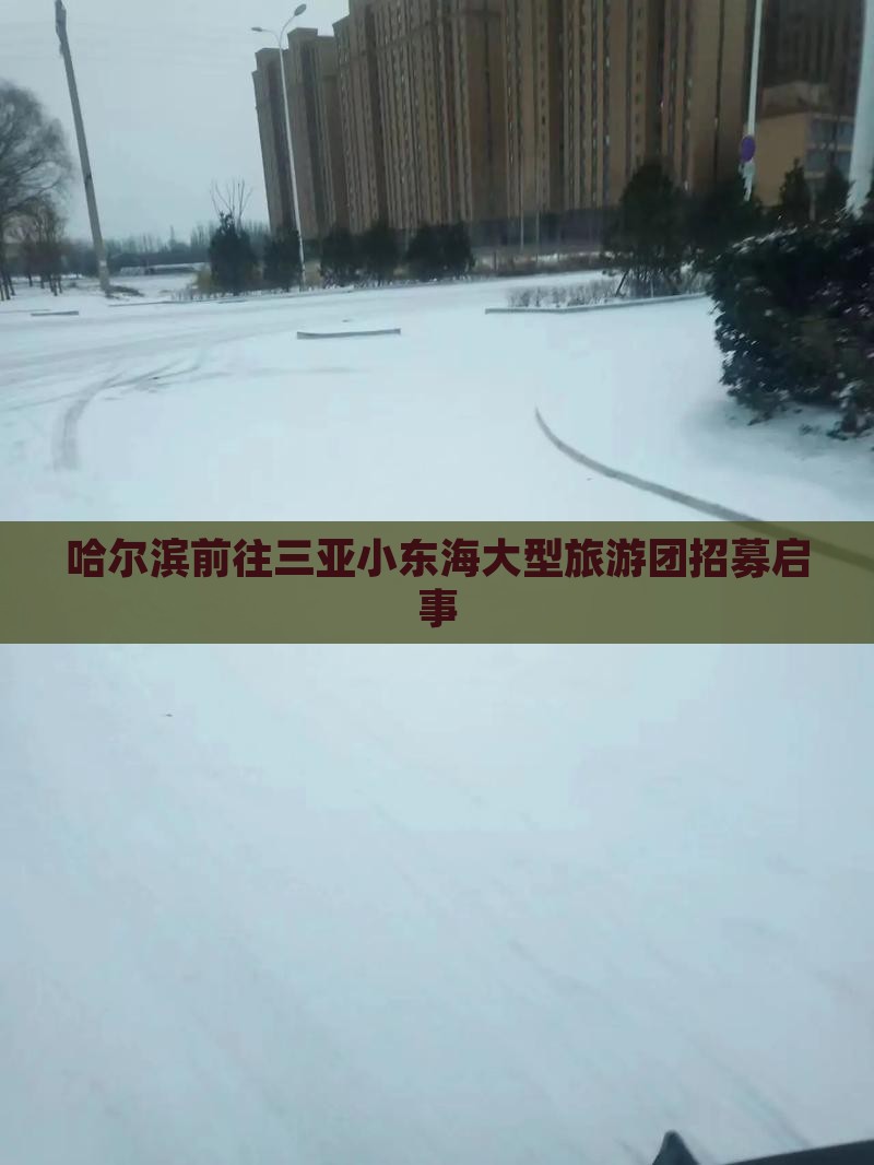 哈尔滨前往三亚小东海大型旅游团招募启事