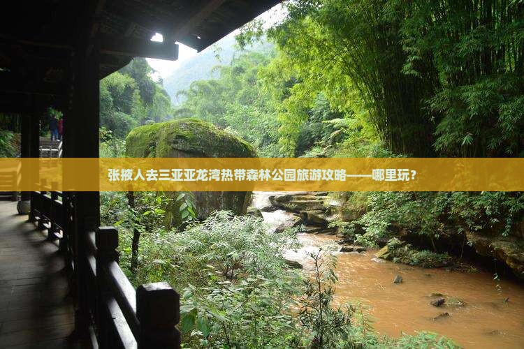张掖人去三亚亚龙湾热带森林公园旅游攻略——哪里玩？