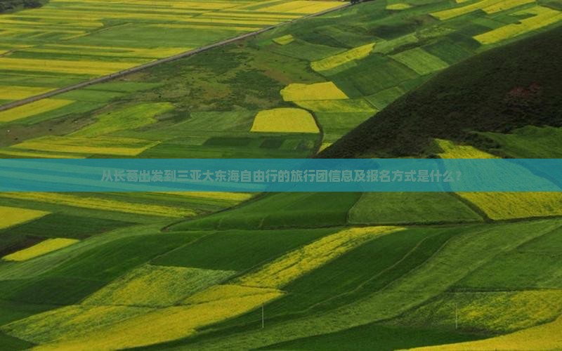 从长葛出发到三亚大东海自由行的旅行团信息及报名方式是什么？