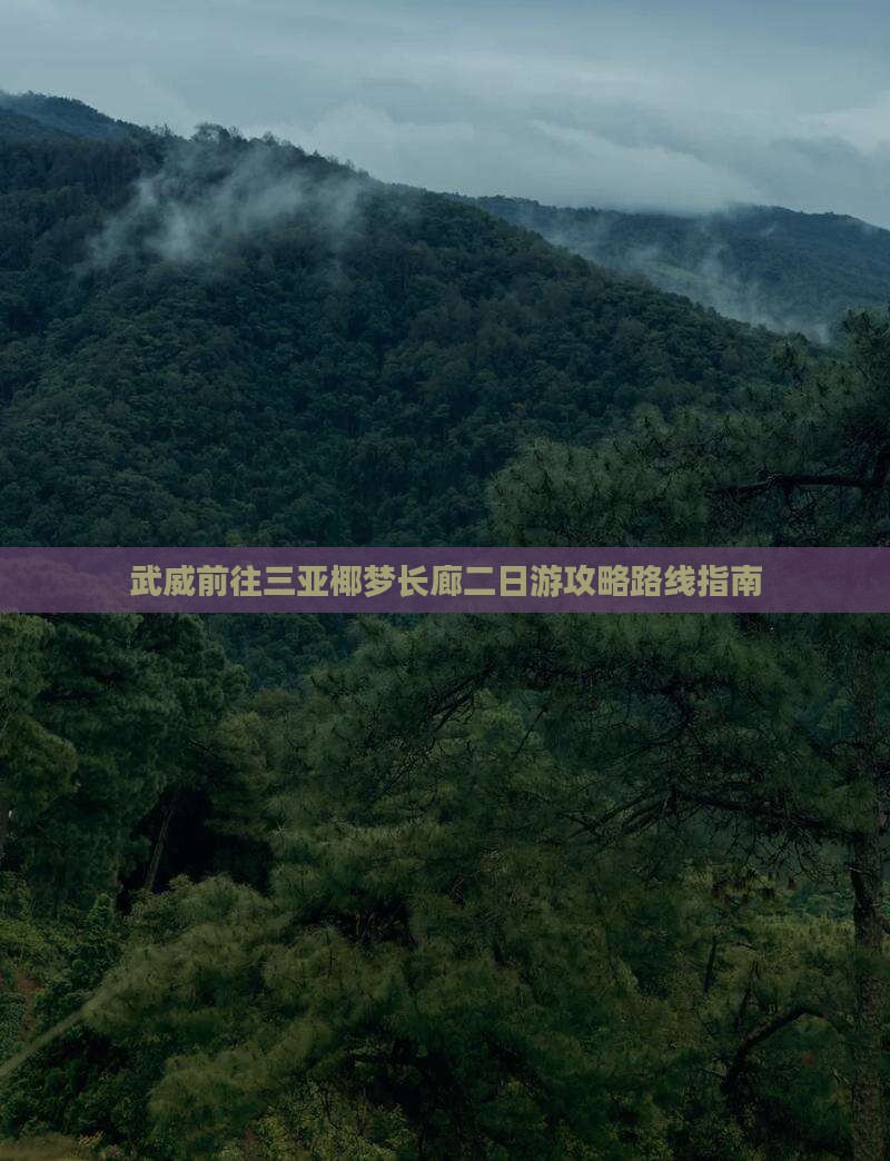 武威前往三亚椰梦长廊二日游攻略路线指南