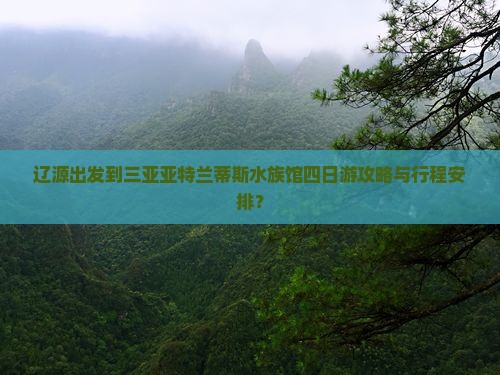 辽源出发到三亚亚特兰蒂斯水族馆四日游攻略与行程安排？