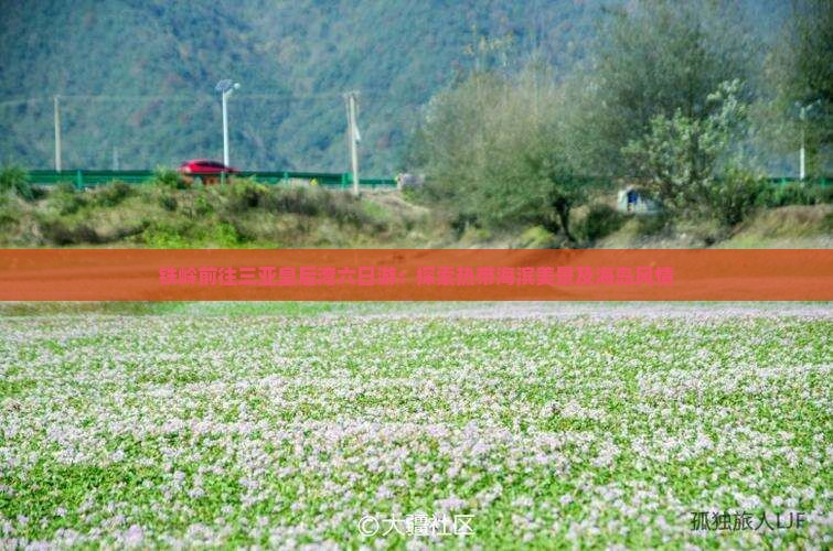 铁岭前往三亚皇后湾六日游：探索热带海滨美景及海岛风情