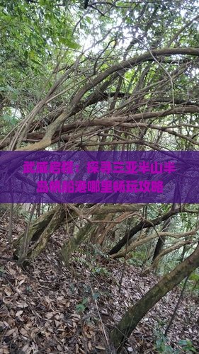 武威启程：探寻三亚半山半岛帆船港哪里畅玩攻略