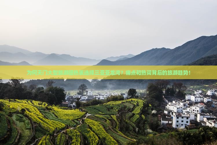 为何天门大型旅游团热衷选择三亚亚龙湾？痛点和热词背后的旅游趋势！