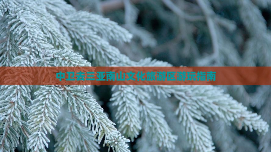 中卫去三亚南山文化旅游区游玩指南