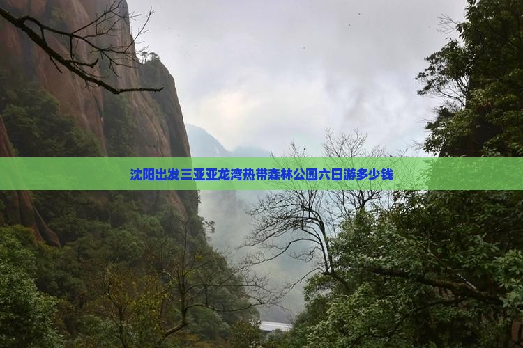 沈阳出发三亚亚龙湾热带森林公园六日游多少钱