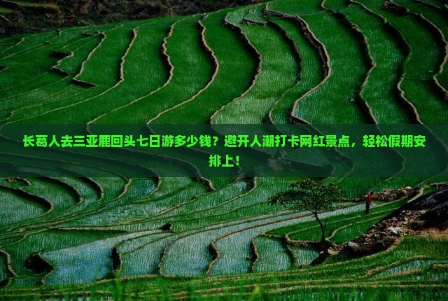 长葛人去三亚鹿回头七日游多少钱？避开人潮打卡网红景点，轻松假期安排上！