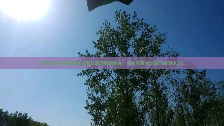如何从黄山畅游至三亚亚龙湾国际玫瑰谷，同时享受当地热门旅游小吃？