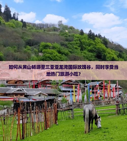 如何从黄山畅游至三亚亚龙湾国际玫瑰谷，同时享受当地热门旅游小吃？