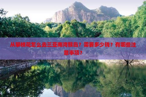 从攀枝花怎么去三亚南湾猴岛？需要多少钱？有哪些注意事项？