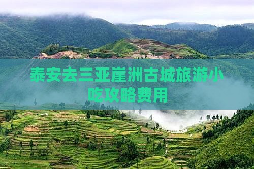 泰安去三亚崖洲古城旅游小吃攻略费用