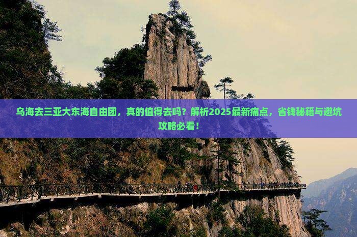 乌海去三亚大东海自由团