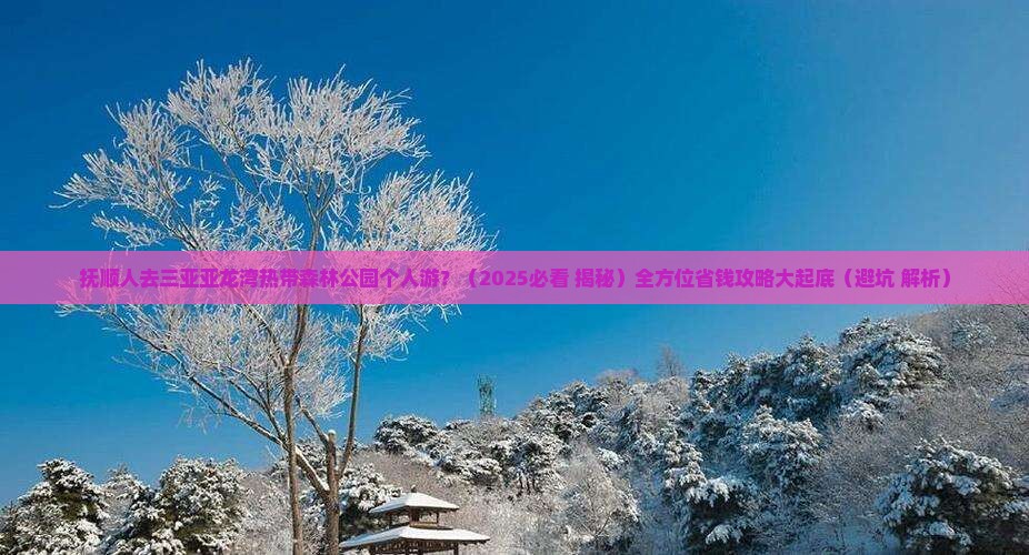 抚顺出发三亚亚龙湾热带森林公园个人游