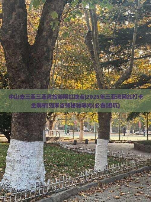 中山去三亚三亚湾旅游网红地点