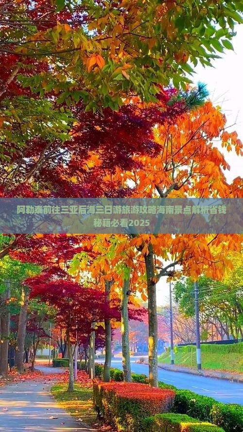 阿勒泰前往三亚后海三日游