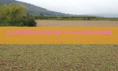 枣庄出发三亚呆呆岛六日游